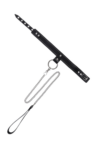 Черный узкий однослойный ошейник с серебристым поводком-цепочкой фото 3 Черный узкий однослойный ошейник с серебристым поводком-цепочкой фото 3