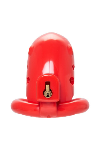 Красный мужской пояс верности из пластика фото 5 Красный мужской пояс верности из пластика фото 5