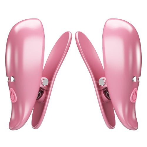 Розовые вибромассажеры для сосков с пультом ДУ Cayley Розовые вибромассажеры для сосков с пультом ДУ Cayley