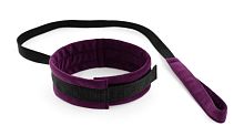 Фиолетово-черный ошейник My rules с поводком