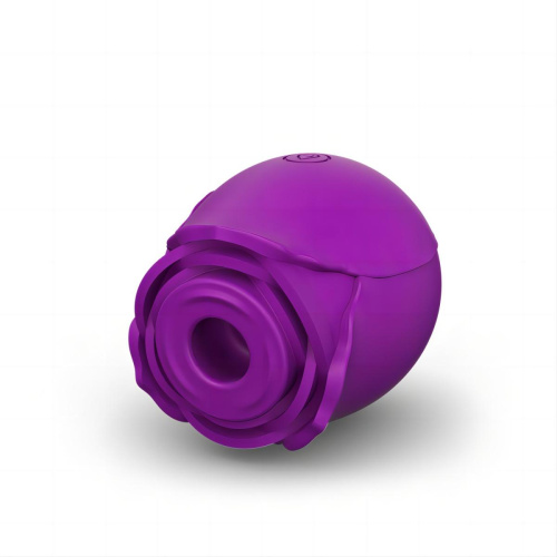 Фиолетовый вакуумный стимулятор Rose фото 2