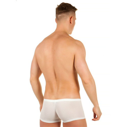 Мужские трусы-хипсы из ткани с текстурой в виде роз White Rose Boxer фото 5