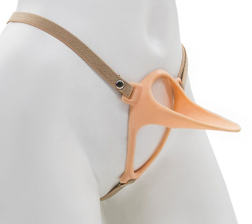 Эректор с фиксацией Эректор с фиксацией