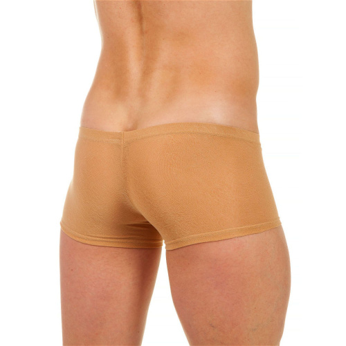 Бежевые трусы-хипсы с текстурой в виде роз на ткани Beige Rose Boxer фото 3