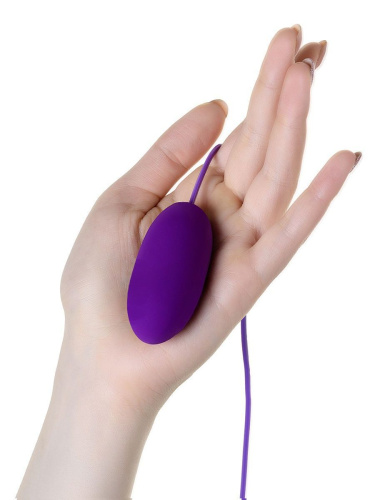 Фиолетовое виброяйцо с выносным пультом управления EGZO фото 2