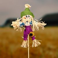 Огородное пугало в шапке - 50 см.