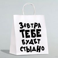 Подарочный пакет  Завтра тебе будет стыдно  - 30 х 24 см.