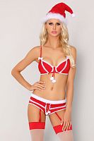 Восхитительный рождественский комплект Emeryn