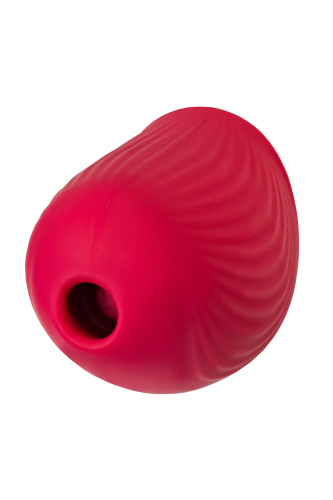 Красный вакуум-волновой стимулятор клитора Birdie фото 5 Красный вакуум-волновой стимулятор клитора Birdie фото 5