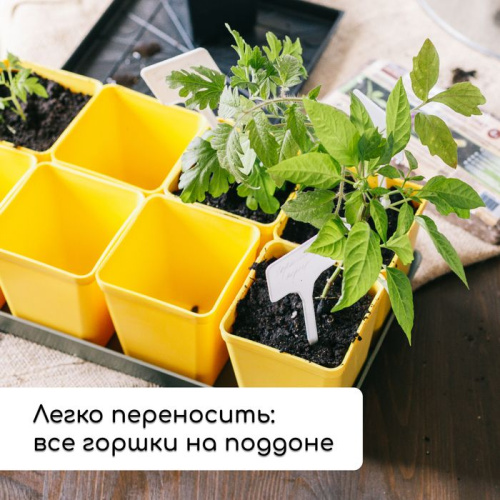 Набор для рассады: 18 стаканов (200 мл.) и поддон (36,5х17 см) фото 7