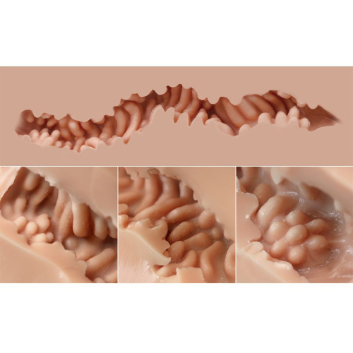 Мастурбатор-полуторс Naked Factory Hannah фото 4