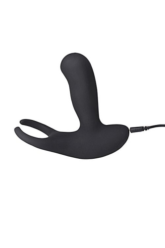 Стимулятор простаты Levett Earl с 2 моторами и пультом ДУ фото 2