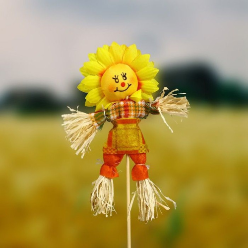 Огородное пугало «Солнце» фото 3 Огородное пугало «Солнце» фото 3
