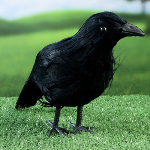 Черная садовая фигура «Ворон» фото 2