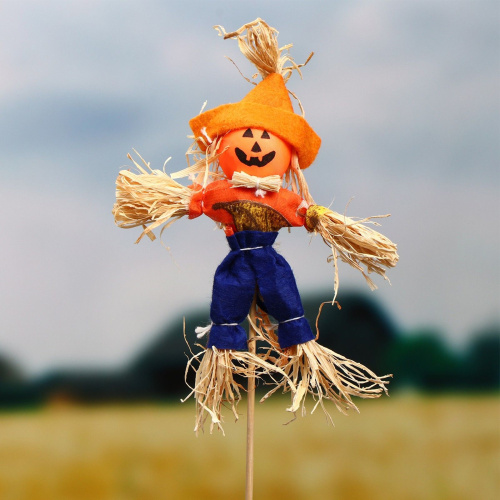 Огородное пугало «Тыква» - 50 см. Огородное пугало «Тыква» - 50 см.