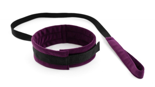 Фиолетово-черный ошейник My rules с поводком Фиолетово-черный ошейник My rules с поводком