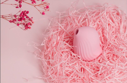 Нежно-розовый вакуум-волновой стимулятор с вибрацией и базой-ночником Cuddly Bird фото 5 Нежно-розовый вакуум-волновой стимулятор с вибрацией и базой-ночником Cuddly Bird фото 5