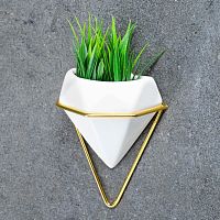 Белое настенное кашпо с золотистой подставкой (100 мл.)