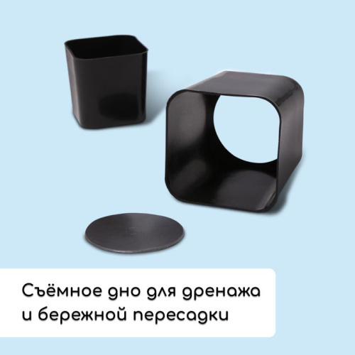 Набор для рассады: 12 стаканов (300 мл.) и поддон (43х18 см) фото 4