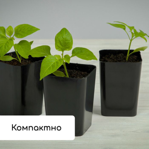 Набор для рассады: 12 стаканов (300 мл.) и поддон (43х18 см) фото 8