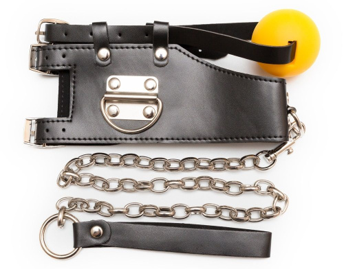 Кляп-шарик с поводком Кляп-шарик с поводком