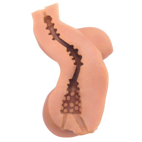 Мастурбатор-торс CyberSkin Intimates Virtual Girlfriend Light фото 2