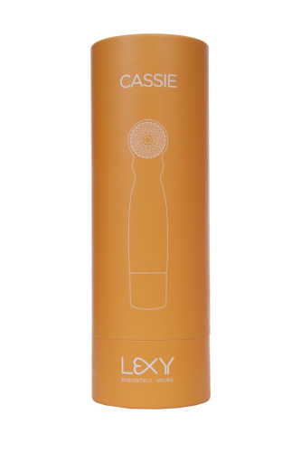 Оранжевый вибратор Cassie с усиками - 17 см. фото 4 Оранжевый вибратор Cassie с усиками - 17 см. фото 4