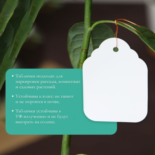 Белые садовые бирки для маркировки - 20 шт. фото 4 Белые садовые бирки для маркировки - 20 шт. фото 4